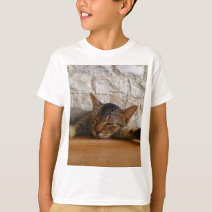 T-shirt Calin de chat