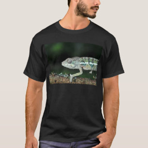 T-shirt caméléon de panthère