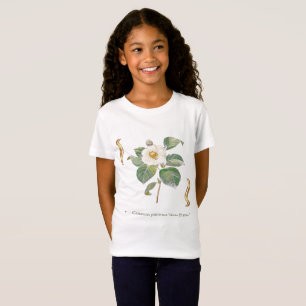 T-Shirt Camellia japonica 'Alba Plena' 