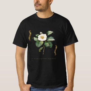 T-shirt Camellia japonica 'Alba Plena' 