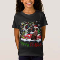 Camion rouge Joyeux Arbre de Noël Chocolat Labrado