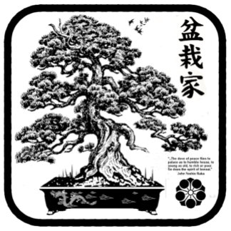 T-shirt Camiseta bonsaika 2