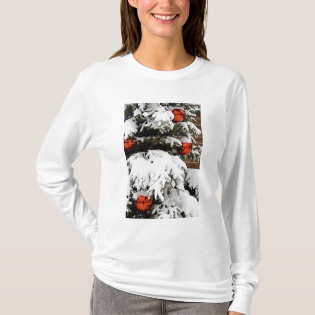 T-shirt Canada, Alberta, Jasper, Parc national de Jasper.  (Devant)