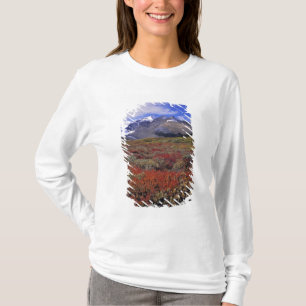 T-shirt Canada, Alberta, Parc national de Banff. Les airel