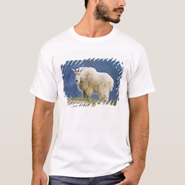 T-shirt Canada, Alberta, Parc national de Jasper, (Devant)