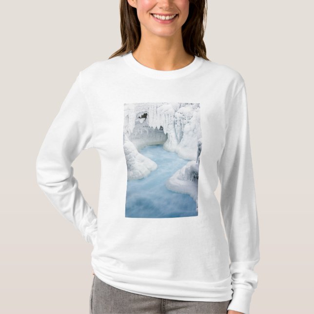 T-shirt Canada, Alberta, parc national de Jasper. La (Devant)