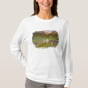 T-shirt Canada, Colombie-Britannique, parc national de Yoh