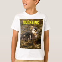 Canard