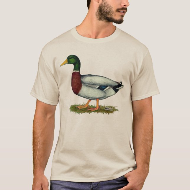 T-shirt Canard Drake de Mallard (Devant)