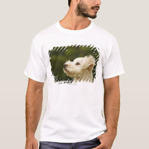 T-shirt Caniche 2 (blancs)