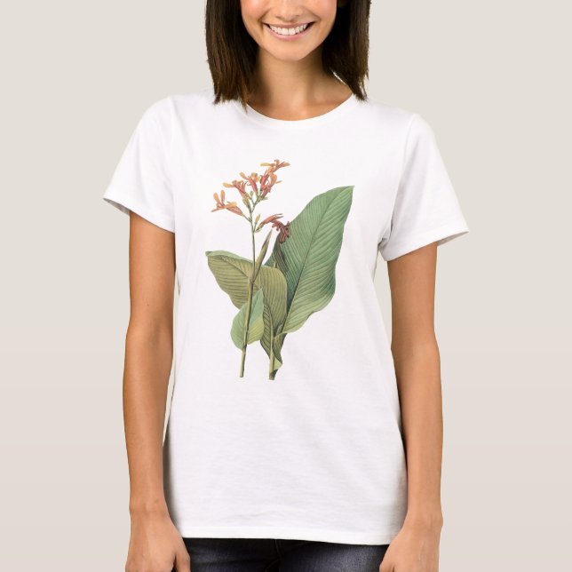 T-shirt canna(Canna gigantea) par Redouté (Devant)