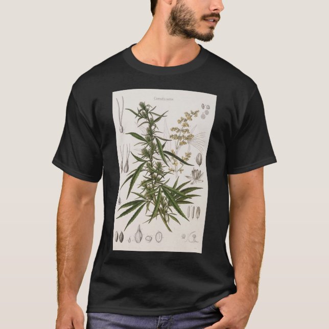 T-shirt Cannabis Sativa - Poster d'entrée botanique (Devant)