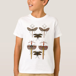 T-shirt Cannes, sauterelles et libellules