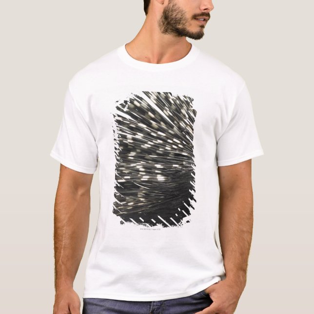 T-shirt Cannettes de porc-épic (Devant)