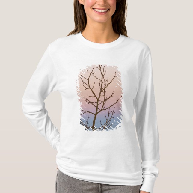 T-shirt Canyon de Bryce, Utah. Arbre dénudé devant le couc (Devant)