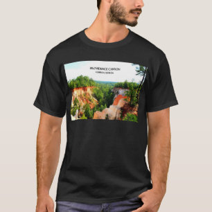 T-shirt CANYON de PROVIDENCE - Lumpkin, la Géorgie