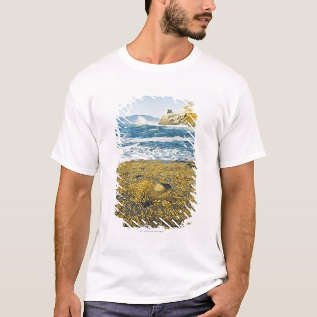 T-shirt Cap Kiwanda et l'océan pacifique (Devant)