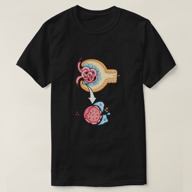 T-shirt Capsule Bowmans Nephron Rein Glomerulus (Design devant)