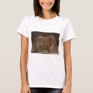 T-shirt Capybara