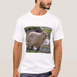 T-shirt Capybara au bord d'un étang