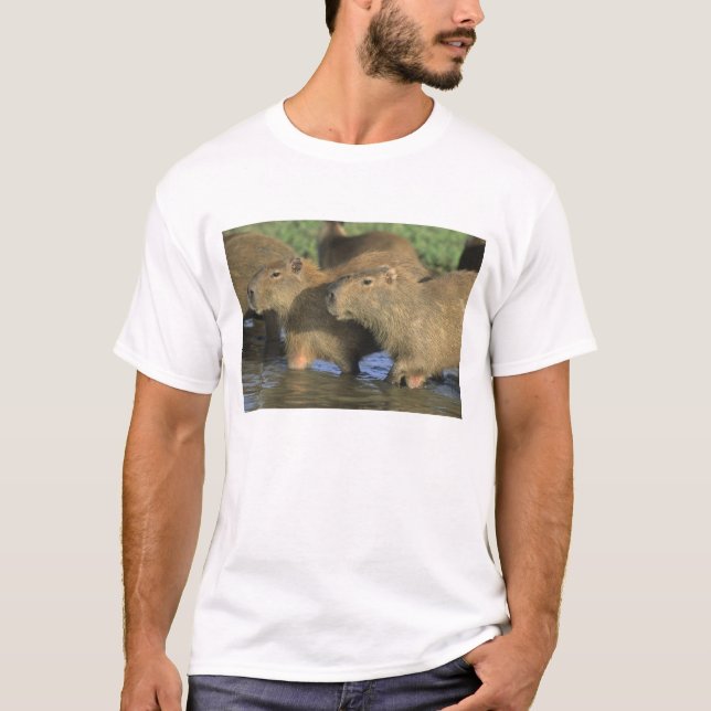T-shirt Capybara, Hydrochaeris hydrochaeris), monde (Devant)