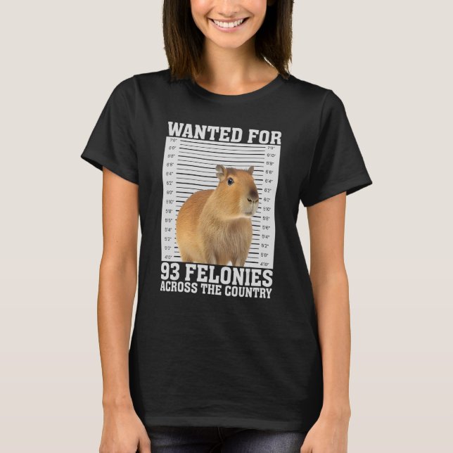 T-shirt Capybara Mugshot Pour 93 Felonies hilarante capyba (Devant)