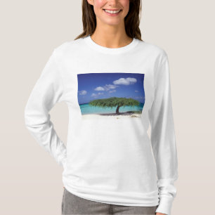 T-shirt Caraïbes, Aruba. Plage Eagle