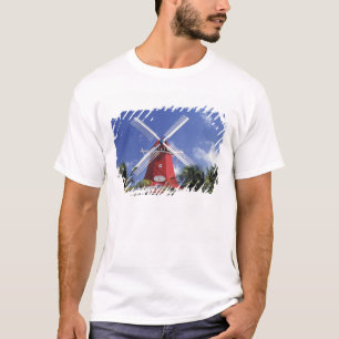 T-shirt Caraïbes, Aruba. Vieux Moulin, converti en 'Moulin
