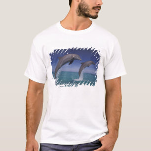 T-shirt Caraïbes, dauphins à gros nez Tursiops