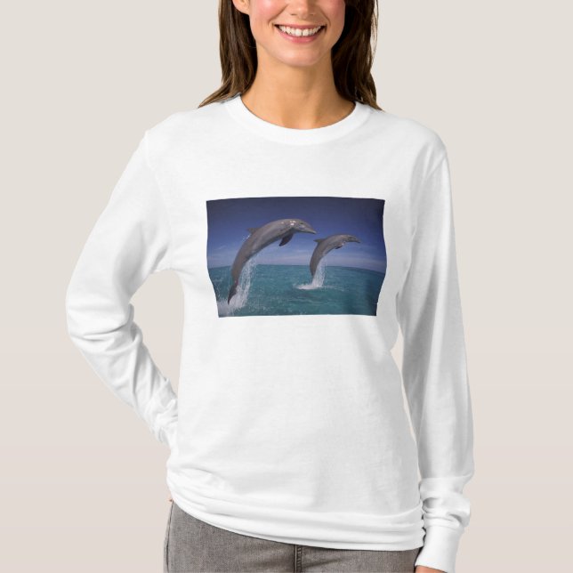 T-shirt Caraïbes, dauphins Tursiops (Devant)