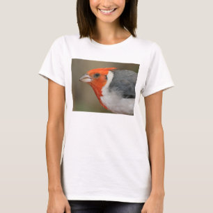 T-shirt Cardinal crêté rouge