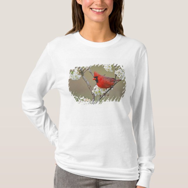 T-shirt Cardinal du Nord (Devant)