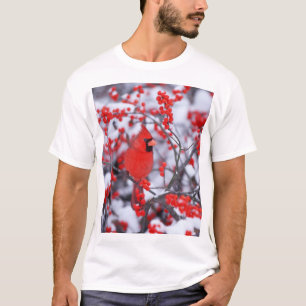 T-shirt Cardinal rouge mâle, Hiver, IL
