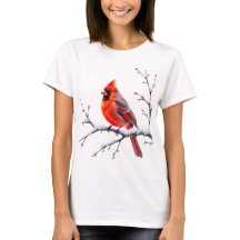 Cardinal rouge sur branche enneigée – Beauté hiver
