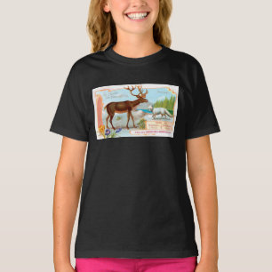 T-shirt Caribou vintage (rennes) et renard arctique