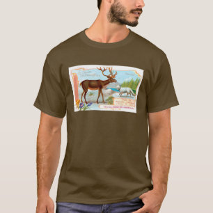 T-shirt Caribou vintage (rennes) et renard arctique