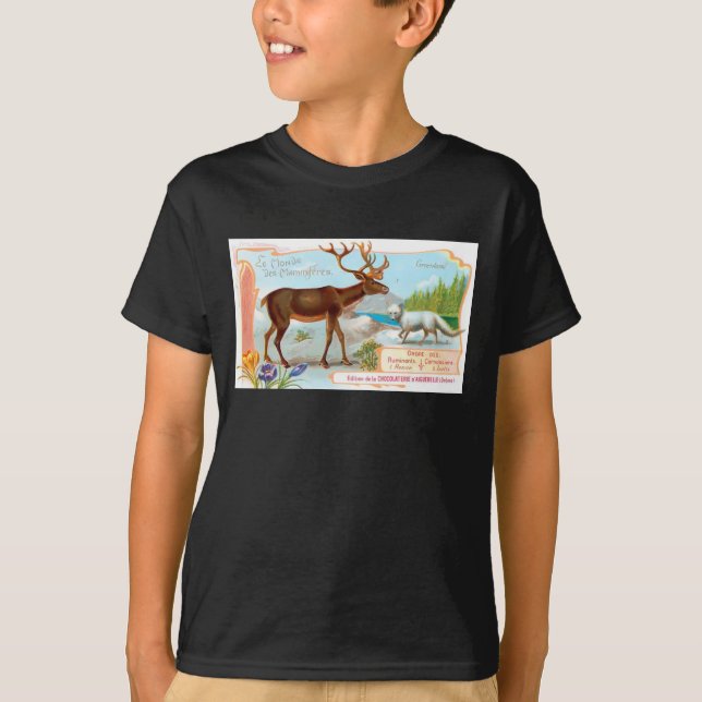 T-shirt Caribou vintage (rennes) et renard arctique (Devant)