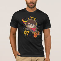 Caricature Harry Potter Quidditch Chercher