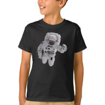 Carlin dans l'espace