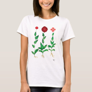 T-shirt Carnation italienne 2