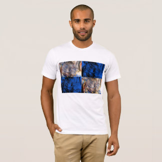 T-shirt carnivest