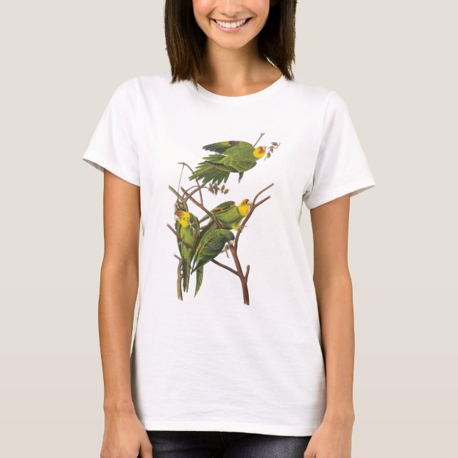 T-shirt Carolina Parakeet par Audubon (Devant)