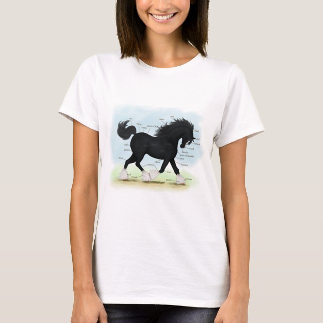 T-shirt Carte anatomique éducative du Cheval de la Côte No (Devant)