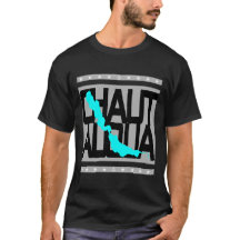Carte du lac Chautauqua New York Rayures Nautiques