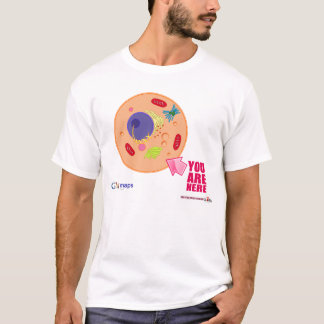 T-shirt Cartes de Globy