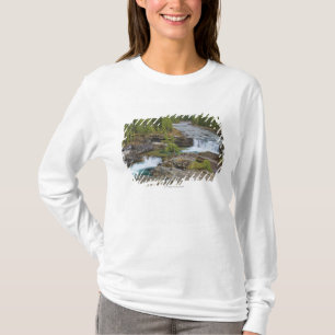 T-shirt Cascade dans les montagnes rocheuses canadiennes