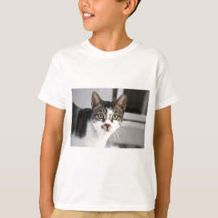 T-shirt Cat