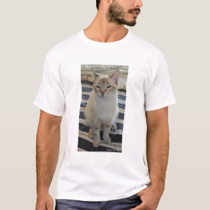T-shirt Cattitude