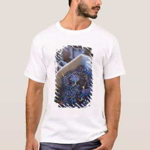 T-shirt Cave Bodega Marques de Riscal, raisins