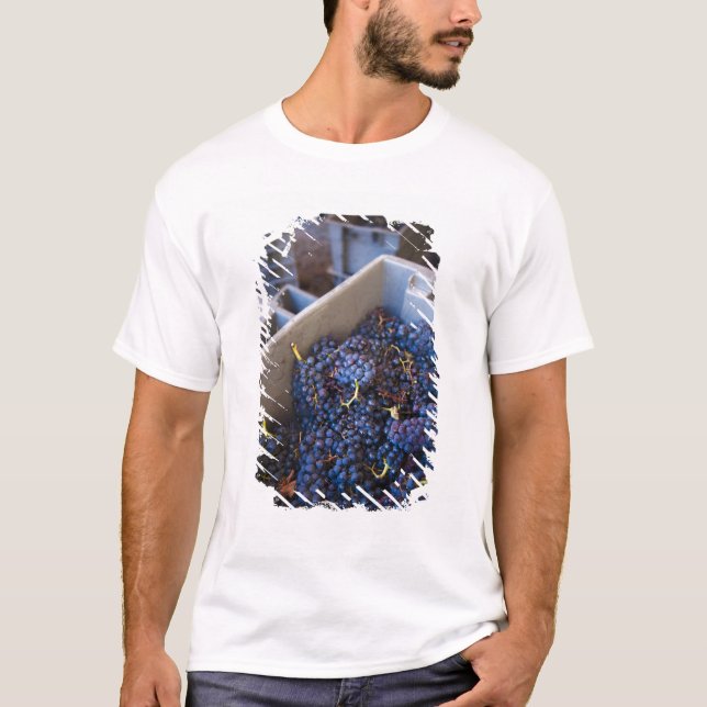 T-shirt Cave Bodega Marques de Riscal, raisins (Devant)